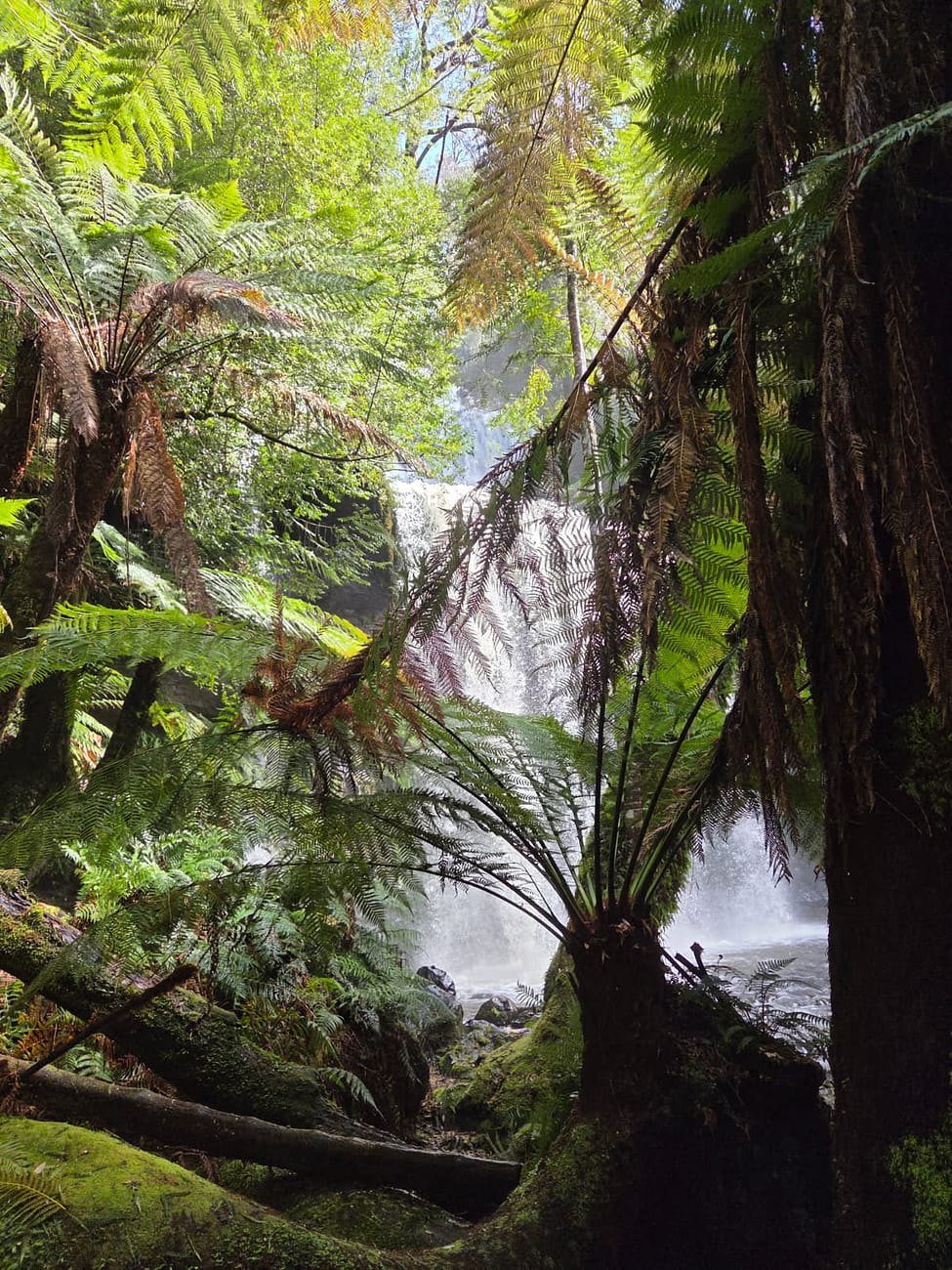 Russell Falls